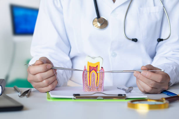 Best Emergency Denture Repair in Port Jefferson Station, NY